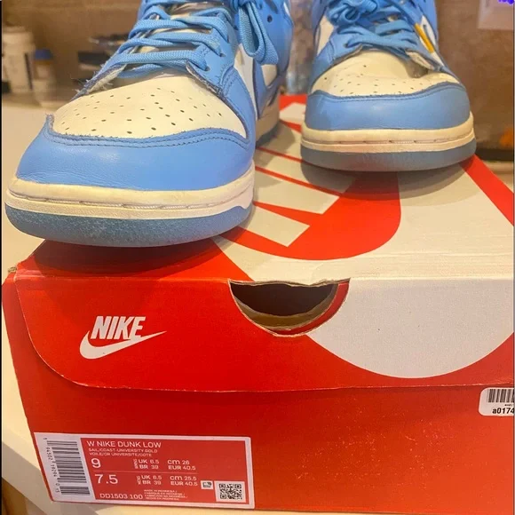 Nike Dunk Coast / Size 9